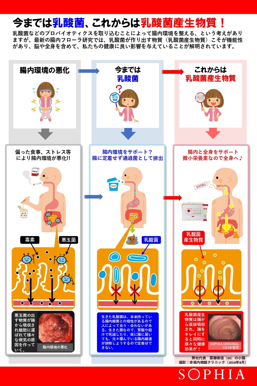 オンライン限定商品】 スーパーソフィア（大豆発酵食品） - 食品